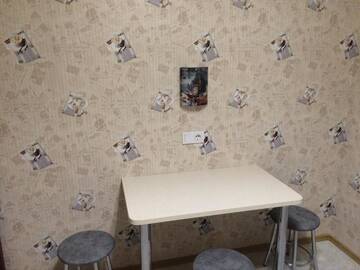 Фото номера Апартаменты Апартаменты Apartment Krasnoarmeyskaya 29 г. Пинск 28